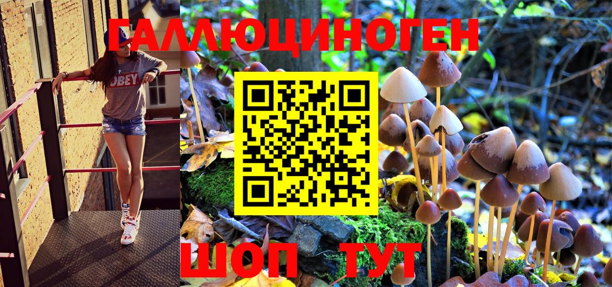 Галлюциногенные грибы Magic Shrooms  Вход с VPN  Коркино  Псилоцибиновые грибы MAGIC MUSHROOMS 